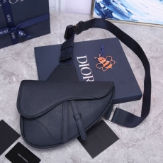 Christian Dior Saddle Bags